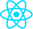 ReactJs Developer